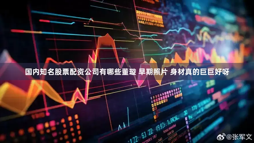 国内知名股票配资公司有哪些董璇 早期照片 身材真的巨巨好呀
